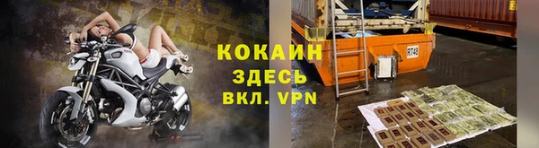 гидра Липки