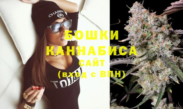 сатива Лихославль
