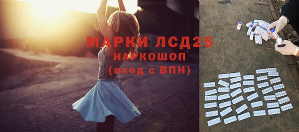 гидра Липки