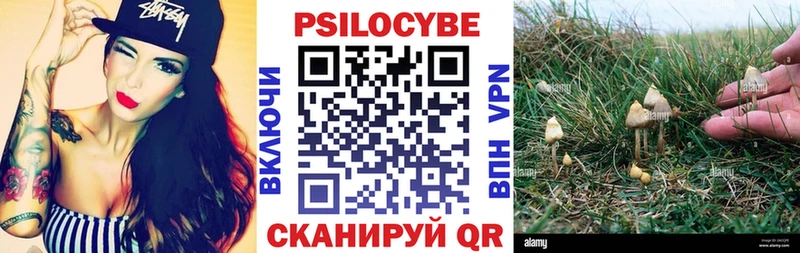 Псилоцибиновые грибы мухоморы  Купить где  Циолковский 